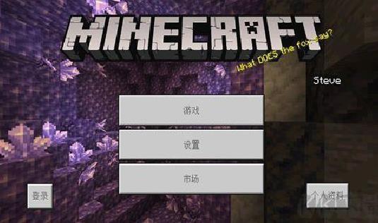 我的世界旧版 v1.17.10.04