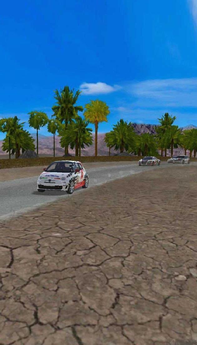 ???????极速拉力赛车全新版 v1.114安卓版