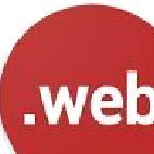 Web Tools安卓版 v2.55