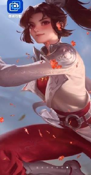 wallpaper王者荣耀透视壁纸 v2.5.84