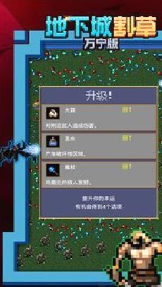 地下城割草万宁版 v1.0.2无广告版