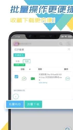 飞鸟下载器 v3.96最新版