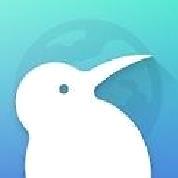 kiwibrowser浏览器安卓版 v132.0.6