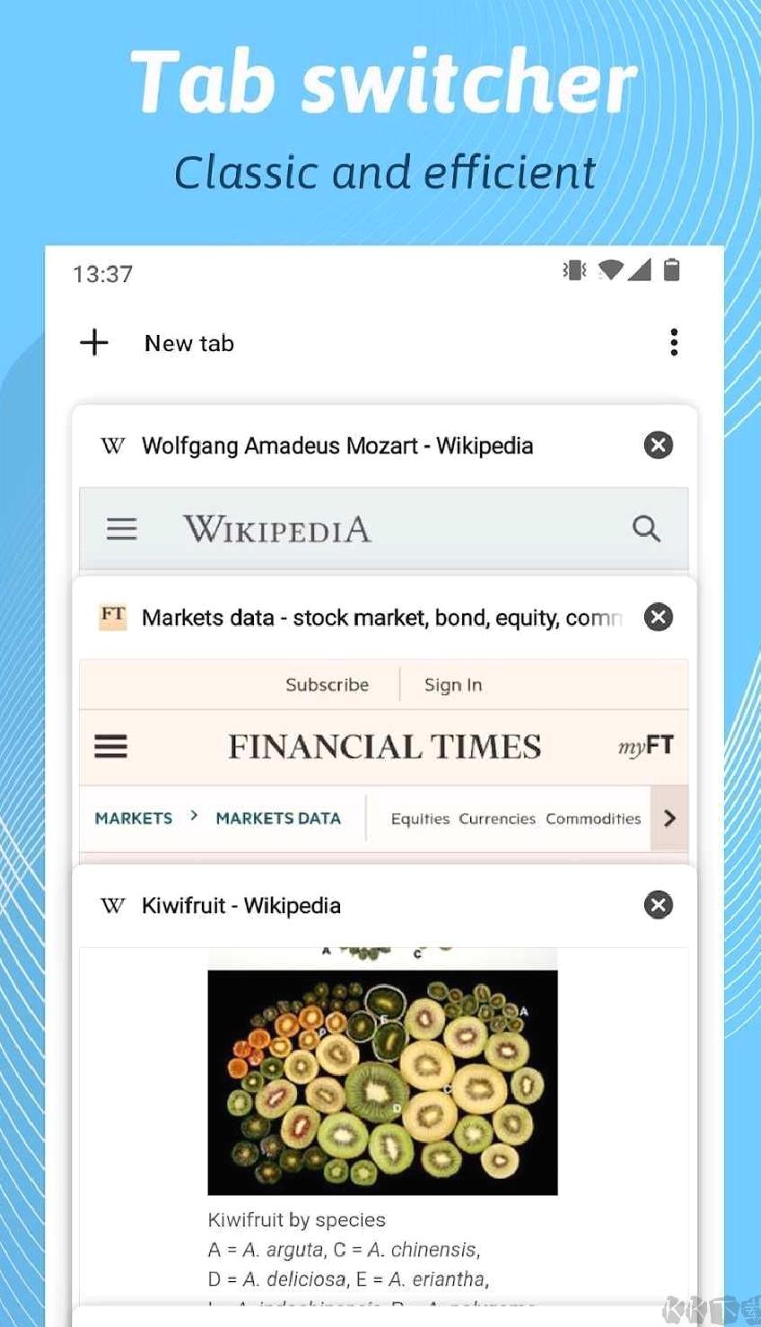 kiwibrowser浏览器安卓版 v132.0.6