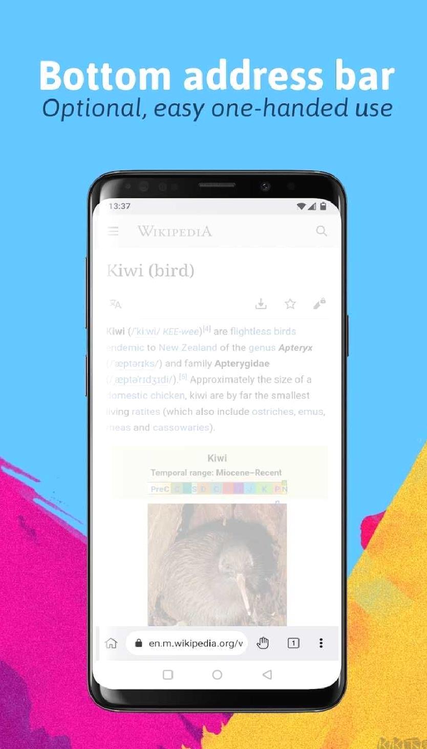 kiwibrowser浏览器安卓版 v132.0.6