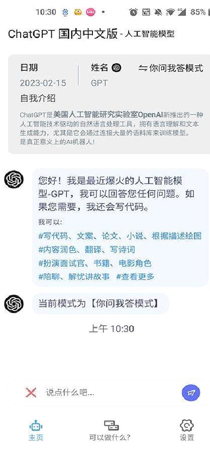 ChatGPT中文版 v1.1.3