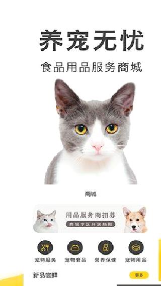 买只宠物 v4.4.0安卓版