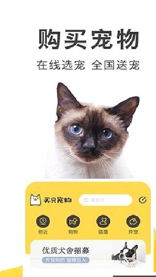 买只宠物 v4.4.0安卓版