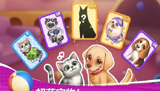 星厨奇迹 v1.99.0最新版