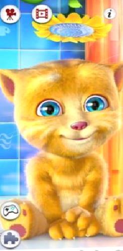 会说话的金杰猫2正版 v3.0.0.264